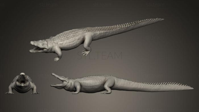 3D model African Crocodile (STL)